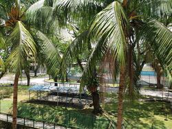 Blk 7 Toh Yi Gardens (Bukit Timah), HDB Executive #453130111